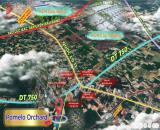 Bán Đất Thổ Cư Bàu Bàng – Sổ Riêng, Xây Dựng Ngay, Giá Tốt