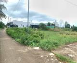 1000M2 ĐẤT THỔ CƯ PHƯỜNG HÀM THẮNG - TỈNH LÂM ĐỒNG GIÁ TỐT BẤT NGỜ