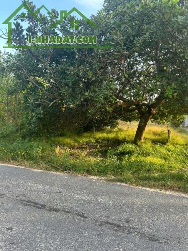 Bán 10m x 70m đất thổ cư Đường Cù Chính Lan, LaGi giá ngộp 160tr/m ngang