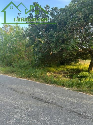 Bán 10m x 70m đất thổ cư Đường Cù Chính Lan, LaGi giá ngộp 160tr/m ngang - 2