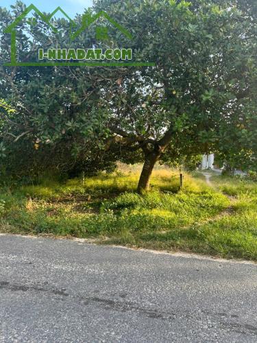 Bán 10m x 70m đất thổ cư Đường Cù Chính Lan, LaGi giá ngộp 160tr/m ngang - 4