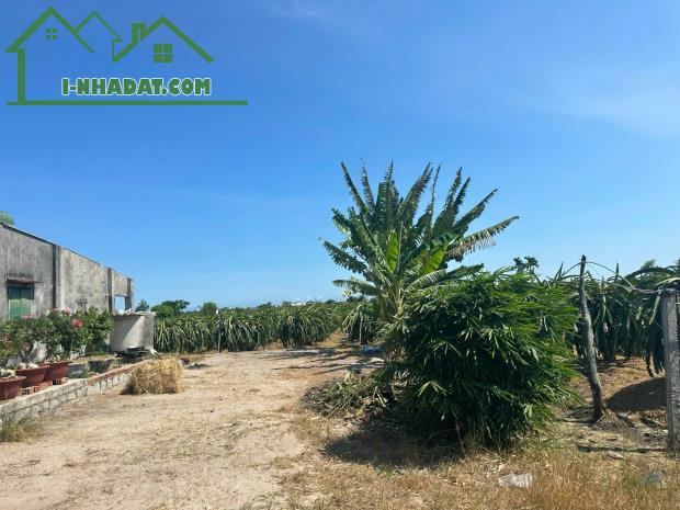 Bán 8.2 sào đất Tân Tiến - LaGi gần biển chỉ 2.4 tỷ có 60m2 ONT Đường ô tô