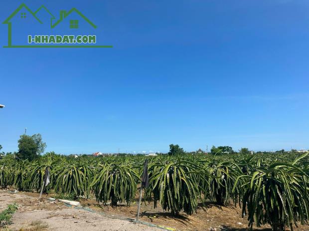 Bán 8.2 sào đất Tân Tiến - LaGi gần biển chỉ 2.4 tỷ có 60m2 ONT Đường ô tô - 2
