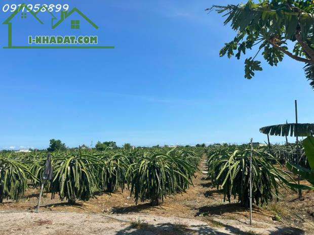 Bán 8.2 sào đất Tân Tiến - LaGi gần biển chỉ 2.4 tỷ có 60m2 ONT Đường ô tô - 3