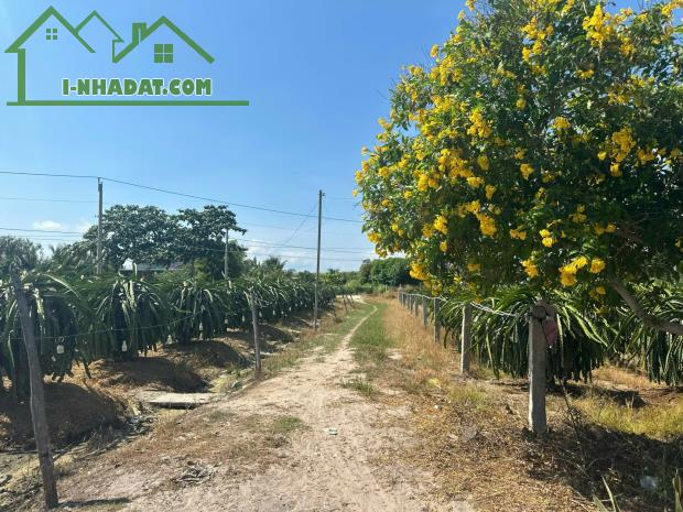 Bán 8.2 sào đất Tân Tiến - LaGi gần biển chỉ 2.4 tỷ có 60m2 ONT Đường ô tô - 4