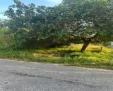 Bán 10m x 70m đất thổ cư Đường Cù Chính Lan, LaGi giá ngộp 160tr/m ngang