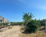 Bán 8.2 sào đất Tân Tiến - LaGi gần biển chỉ 2.4 tỷ có 60m2 ONT Đường ô tô