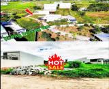 🏡 KHU DÂN CƯ SUỐI CÁT – HÀM LIÊM 🌟 Vị trí gần Khu công nghiệp Phan Thiết, tiềm năng tăng