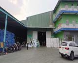 Bán kho xưởng Đức Hòa (Long An), đường DT825, 7350m2, ngay KCN, dòng tiền 400 triệu/tháng