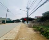 Siêu phẩm đất Cổ Đông, Hòa Lạc trục chính kinh doanh 300m2 MT10m full thổ cư