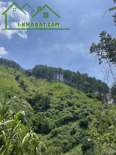 Bán đất vườn cà phê tại Đà Lạt – Nam Ban, Lâm Hà