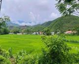 Giá hời, chỉ 1.8tr/m2 đất Ba Trại Ba Vì, gần T.lộ, Yên Bài, Suối Hai, vuông, nở hậu, 1801m