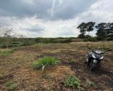 BÁN ĐẤT CẨM MỸ – ĐỒNG NAI  GẦN SÂN BAY LONG THÀNH