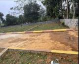 Chính Chủ cần bán 2 lô đất gần Đường Hồ chí Minh, gần Khu Công nghiệp thạch Quảng giá 170