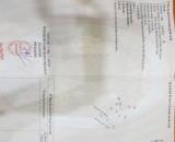 Bán đất thổ cư hẻm xã Phước Lý, Cần Giuộc dt 120m2 giá 1,6 tỷ