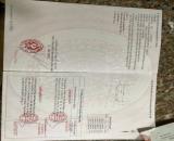 CẦN BÁN NHÀ XƯỞNG 2 MẶT TIỀN – LONG ĐIỀN DIỆN TÍCH 256M2 CHỈ VỚI 1,5 TỶ