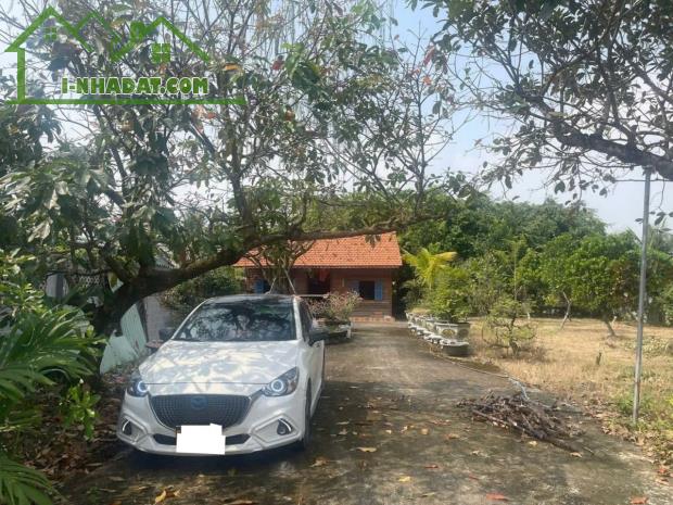 Bán nhà vườn xã Long Cang , Cần Đước tdt hơn 1200m2 đất lúa gía 3,95 tỷ