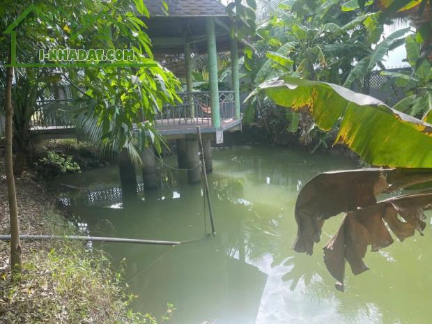 Bán nhà vườn xã Long Cang , Cần Đước tdt hơn 1200m2 đất lúa gía 3,95 tỷ - 2