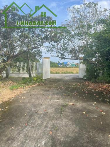 Bán nhà vườn xã Long Cang , Cần Đước tdt hơn 1200m2 đất lúa gía 3,95 tỷ - 5