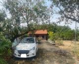 Bán nhà vườn xã Long Cang , Cần Đước tdt hơn 1200m2 đất lúa gía 3,95 tỷ