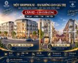 🔥 CƠ HỘI CUỐI CÙNG TẠI ĐÀO TẤN DIAMOND | SHOPHOUSE 146,2M² GIÁ 9,74 TỶ