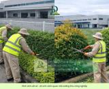DỊCH VỤ CHĂM SÓC CÂY XANH – THẢM CỎ KCN TAM PHƯỚC, ĐỒNG NAI