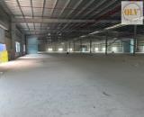 Cho thuê nhà xưởng mới xây dựng tại KCN Mỹ Phước 33.800 m2