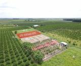 DMC Tây Ninh bán lô đất sào ( 25x43) view núi Bà đường ô tô vào tận nơi giá 359tr