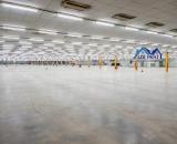 Cho thuê kho xưởng KCN Nhơn Trạch Đồng Nai 40.000m2 chỉ 4,5 Usd/m2