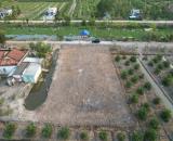 390TR/203M2 thỏ cư/ sổ hồng riêng/ Đường đá xanh 8m ở Bến Lức ( LA cũ)