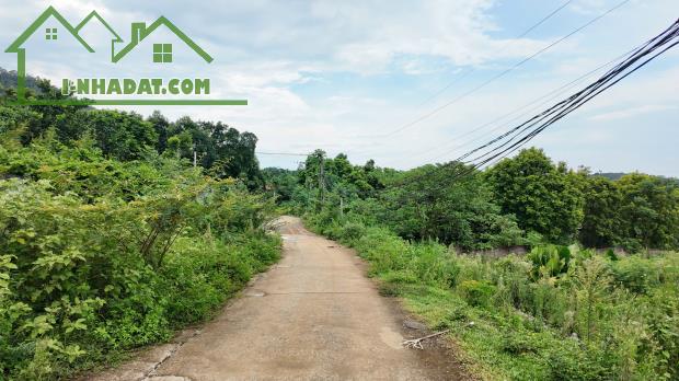 🌿 MẢNH ĐẤT 2.325M² – 2.000M² THỔ CƯ – MẶT TIỀN 40M TẠI PHÚ CÁT, HÀ NỘI