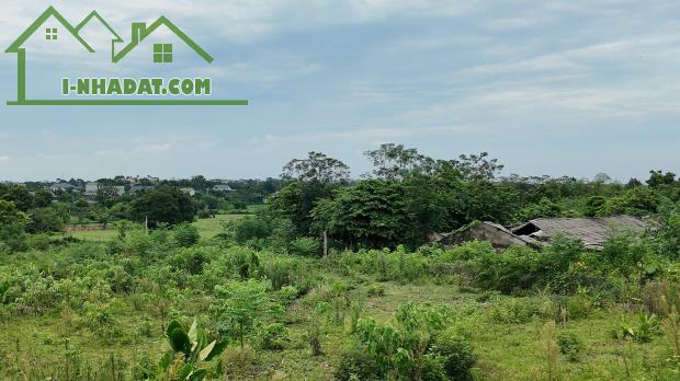 🌿 MẢNH ĐẤT 2.325M² – 2.000M² THỔ CƯ – MẶT TIỀN 40M TẠI PHÚ CÁT, HÀ NỘI - 1