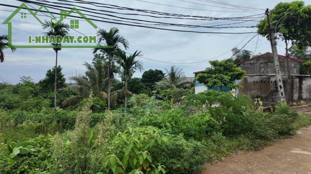 🌿 MẢNH ĐẤT 2.325M² – 2.000M² THỔ CƯ – MẶT TIỀN 40M TẠI PHÚ CÁT, HÀ NỘI - 2