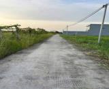 Bán đất xã Lạc Tấn , Tân Trụ tdt 1960m2 ( 200m2 thổ)đường beton, có tường rào giá 2,2 tỷ