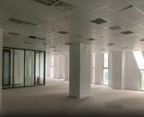 🐎 ĐÓN TẾT BÍNH NGỌ SẮP TỚI, 6TH ELEMENT CHO THUÊ VĂN PHÒNG GIÁ CỰC TỐT! 🧧