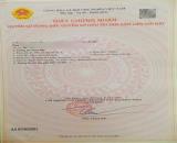 Bán đất Thụy Hương - Kiến Thụy - Hải Phòng