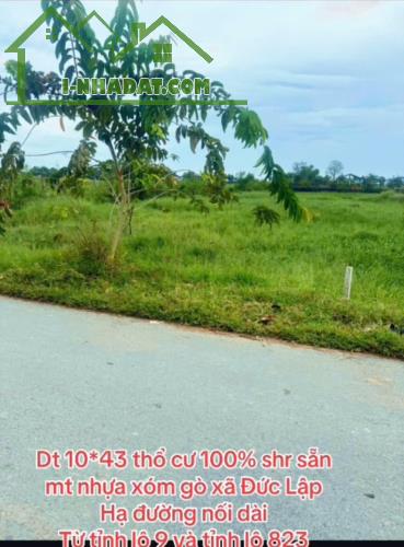 Bán đất thổ cư mt đường Xóm Gò , xã Đức Lập Hạ dt 430m2 giá 2,8 tỷ - 3