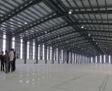 LA2. Cho thuê Kho Xưởng 5.000m2 Bến Lức, Long An.