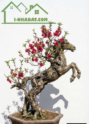 Đất mặt tiền Hải Châu chỉ 10 tỷ gần Toà nhà Trái Bắp