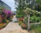 Đất Phú Quốc giảm 30% so với khu vực - Chính chủ cần bán gấp