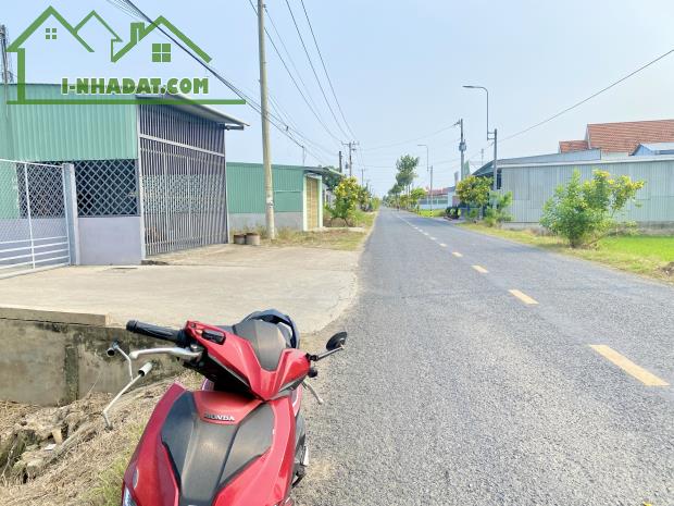 Đất MT đường Cai Tài DT835 - 300m², Điện 3Pha xe Con Giá 2,1 Tỷ xã Mỹ Bình, Tân Trụ, LA - 5