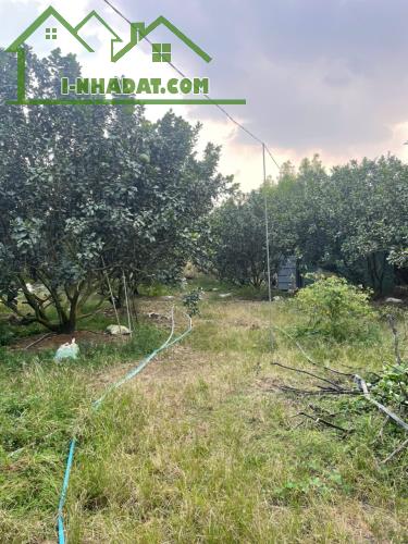 CHÍNH CHỦ BÁN SIÊU PHẨM ĐẤT ĐẸP ***Phù Hợp Cho Mọi Gia Đình