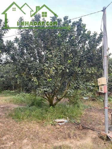 CHÍNH CHỦ BÁN SIÊU PHẨM ĐẤT ĐẸP ***Phù Hợp Cho Mọi Gia Đình - 2