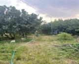 CHÍNH CHỦ BÁN SIÊU PHẨM ĐẤT ĐẸP ***Phù Hợp Cho Mọi Gia Đình