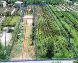 Bán đất tỉnh lộ 818 , xã Tân Thành, huyện Thủ Thừa dt 1926m2 ( có 1080m2 thổ ) giá 7,5 tỷ