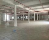 CHO THUÊ KHO XƯỞNG 12.000M2 TẠI KCN ĐỒNG VĂN, HÀ NAM – PCCC TỰ ĐỘNG