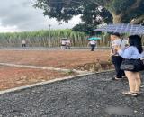 Bán đất thôn Bình Sậy, xã Thạch Sơn, huyện Thạch Thành, Thanh Hóa. 280m2 ~ 285 triệu