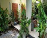 BIỆT THỰ SÂN VƯỜN 282m² MT 12m khu Ngoại Giao Đoàn Xuân Tảo Xuân Đỉnh - Sát ô tô - 65,5 tỷ