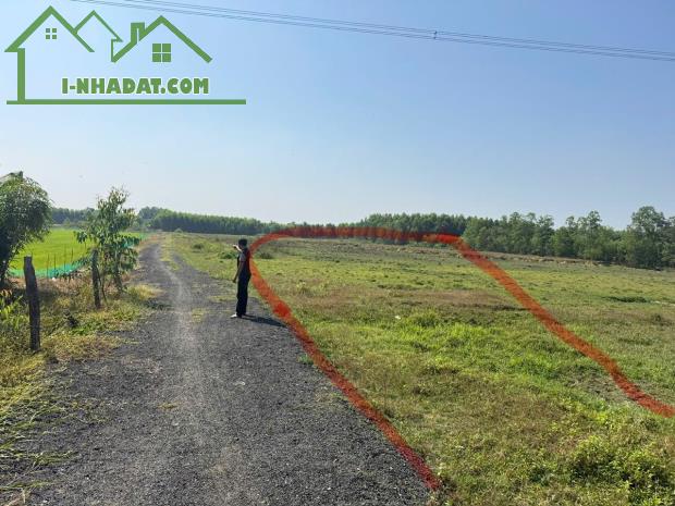 BÁN ĐẤT PHƯỚC AN – GẦN VÀNH ĐAI 3 – GIÁ TỐT ĐẦU TƯ