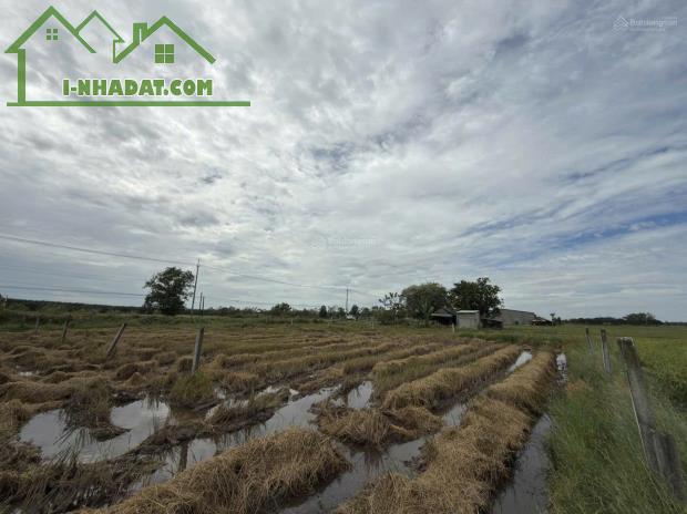 ĐẤT ĐẸP - GIÁ TỐT - Bán Nhanh Tại ấp Phước Đông xã Long Chữ tỉnh Tây Ninh (trước là xã - 1